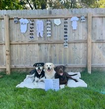 Load image into Gallery viewer, Custom Embroidered Baby & Dog Onesie®