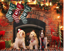 Load image into Gallery viewer, Custom EMBROIDERED Christmas Stockings, Custom Stocking for Dog, Personalized Dog Christmas Paw Stocking with Name, Dog Mom Christmas Gift