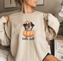 Load image into Gallery viewer, Custom Pet PUMPKIN Sweatshirt, Unisex