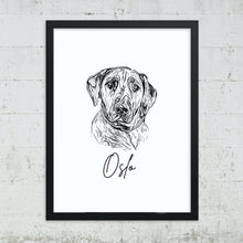 Load image into Gallery viewer, Custom Pet Portrait, Framed OR Digital Download