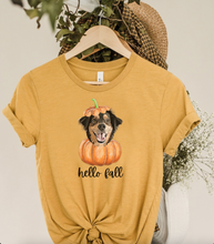 Load image into Gallery viewer, Custom Pet PUMPKIN T-shirt, Unisex