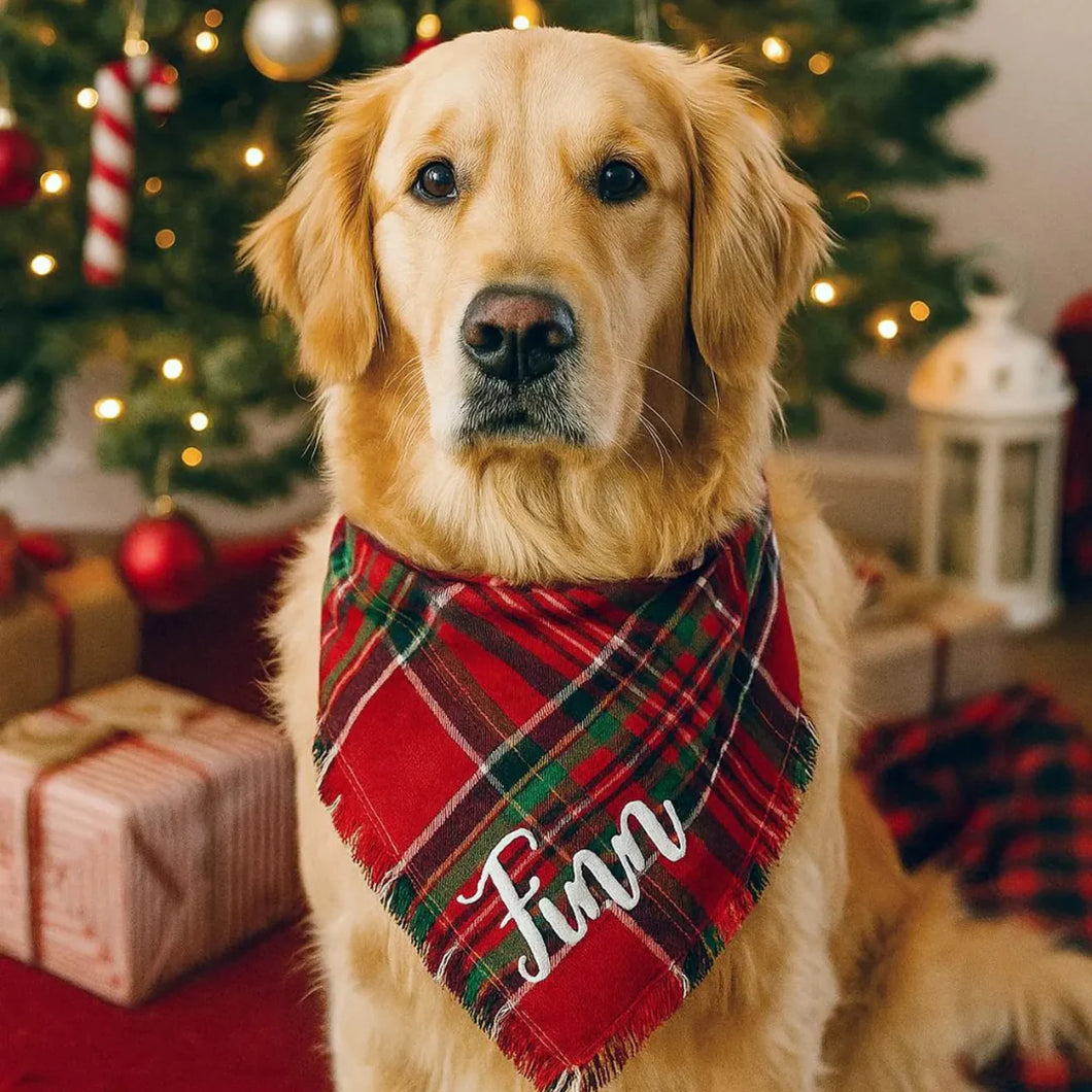 Custom Embroidered Pet Christmas Bandana