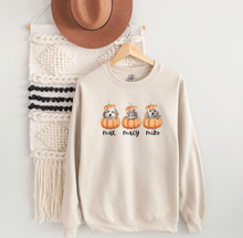Load image into Gallery viewer, Custom Pet PUMPKIN Sweatshirt, Unisex
