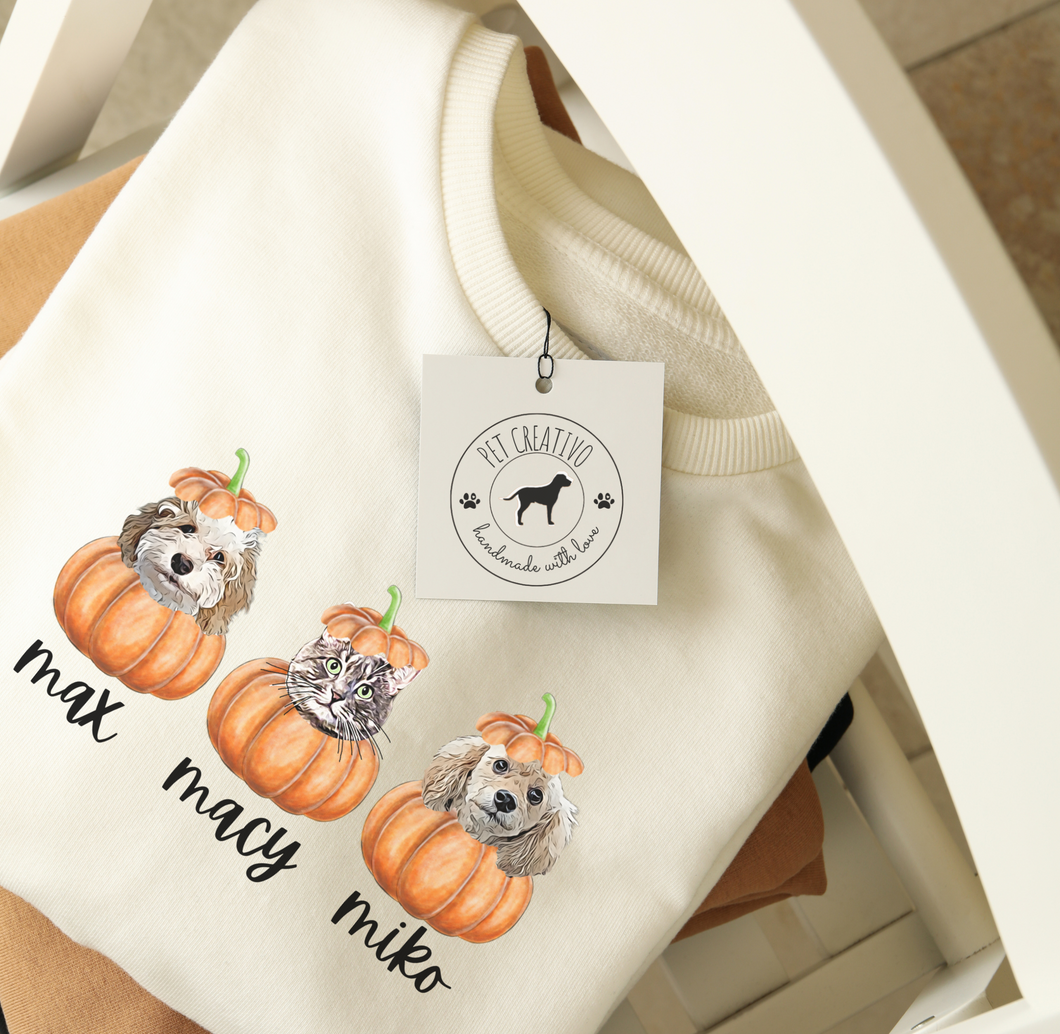 Custom Pet PUMPKIN Sweatshirt, Unisex