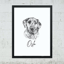 Load image into Gallery viewer, Custom Pet Portrait, Framed OR Digital Download
