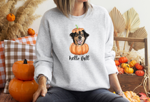 Load image into Gallery viewer, Custom Pet PUMPKIN Sweatshirt, Unisex
